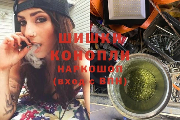 стафф Кинешма