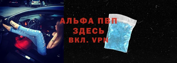 стафф Кинешма