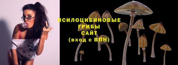 дурь Киреевск