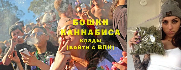 дурь Киреевск