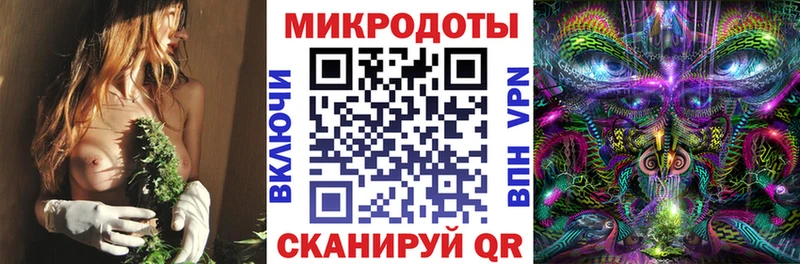 Купить  Щёкино  Псилоцибиновые грибы Cubensis 